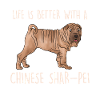 Chinese Shar Pei
