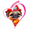 Firefighter, pug love