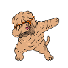 Shar Pei chinois