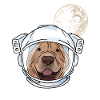 Chinese Shar Pei
