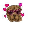 Chinese Shar Pei