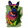 Französische Bulldogge mit Sonnenbrille