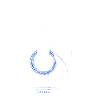 Acoustic Guitar
