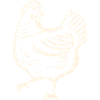 Poulet