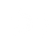crazy chicken