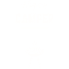 Happy camper