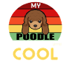 My Poodle Think I`m Cool