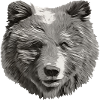 ISA Head SW