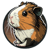 Guinea pig
