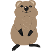Quokka