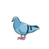 Pigeon Pigeon Lovers Citation Cadeau