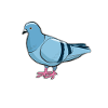 Pigeon Pigeon Lovers Quote Gift
