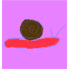 Schnecke