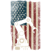 Robot Robotics Engineer American