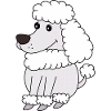 Dog Cartoon Adorable Poodle