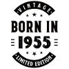 1955 - Byggeår 1955 - Født 1955