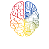 Programmer Coder - Developer Programming Brain