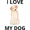 I love my dog