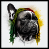 Conception du bouledogue français « BobMarley »
