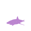 Shark Gift Shark Lover