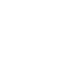White Sheep / Portrait / Head