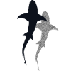 Hai