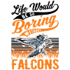 Falconer Gift Falconry Kestrel
