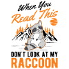 Raccoon Gift Raccoon