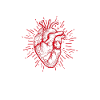 Herzoperation Herz OP Herztransplantation