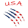 USA America