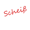 An scheiß muas I