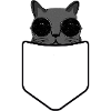 Cool cat