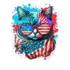 American Patriotic USA Design