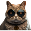 Krypto Cat