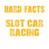 Slot Car Racing Slotrace