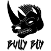 Black rhinoceros head