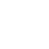 White rhinoceros head