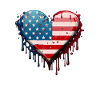 American Patriotic USA Design