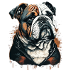 Chubby Face Bulldog