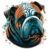 Shy Bulldog