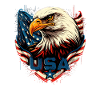 American Patriotic USA Design