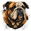 Bulldog Face