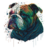 Bouledogue peint
