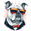 Feeling Cool Bulldog Pet