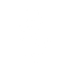 Lion drawing line