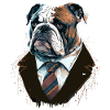 Bulldog in a Black Suit