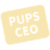 Pups CEO
