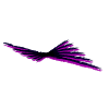 Adler - flying Art