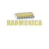 Harmonica player