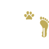 TeamGassi